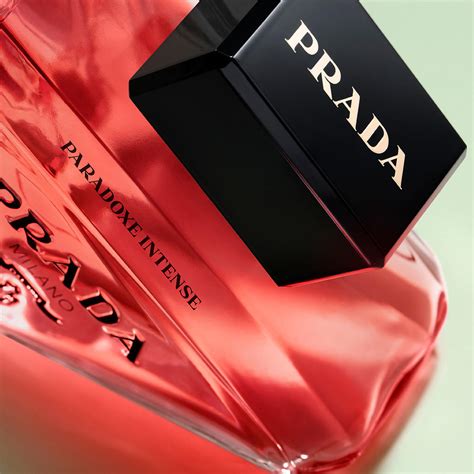 prada paradoxe intense box|prada paradoxe intense angebot.